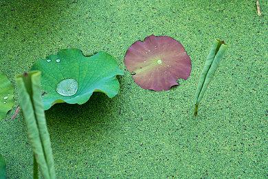 索尼新专利 可让玩家启动游戏到任何时间点